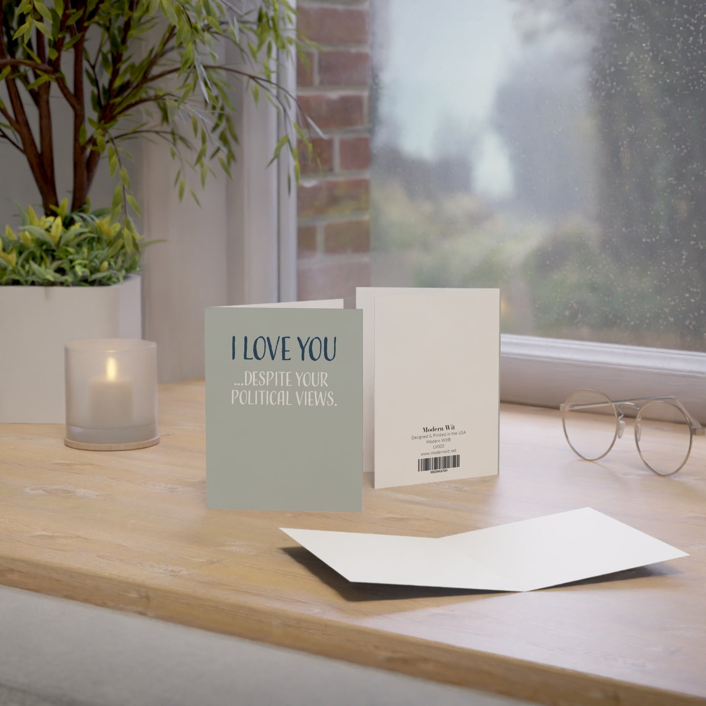 Funny Birthday Cards For Women & Men, I Love You Despite Your Political Views