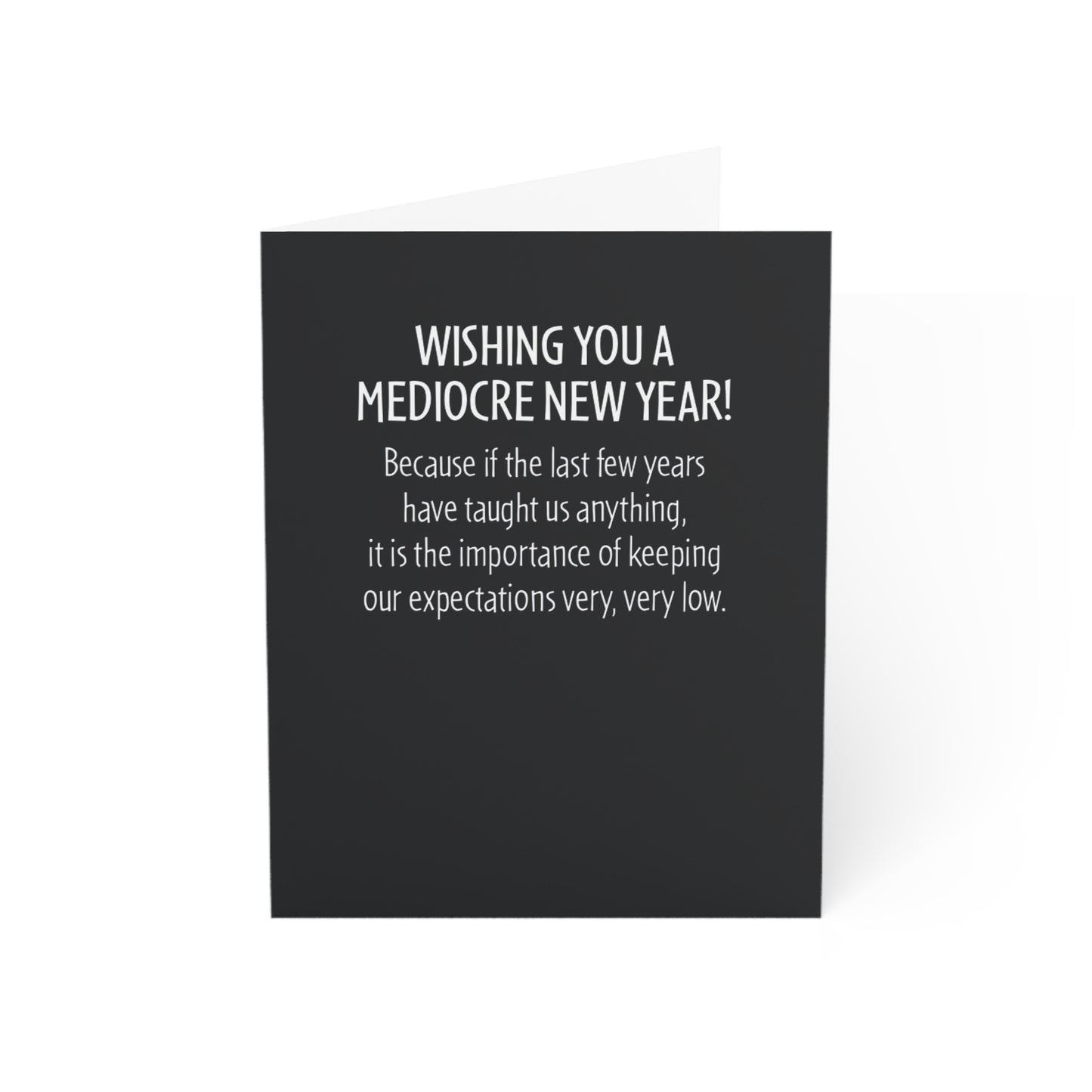 Funny New Years & Christmas Greeting Cards Boxed Envelopes